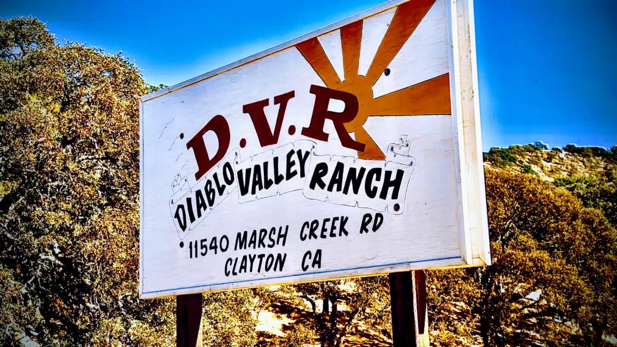 Bi Bett Corp - Preview