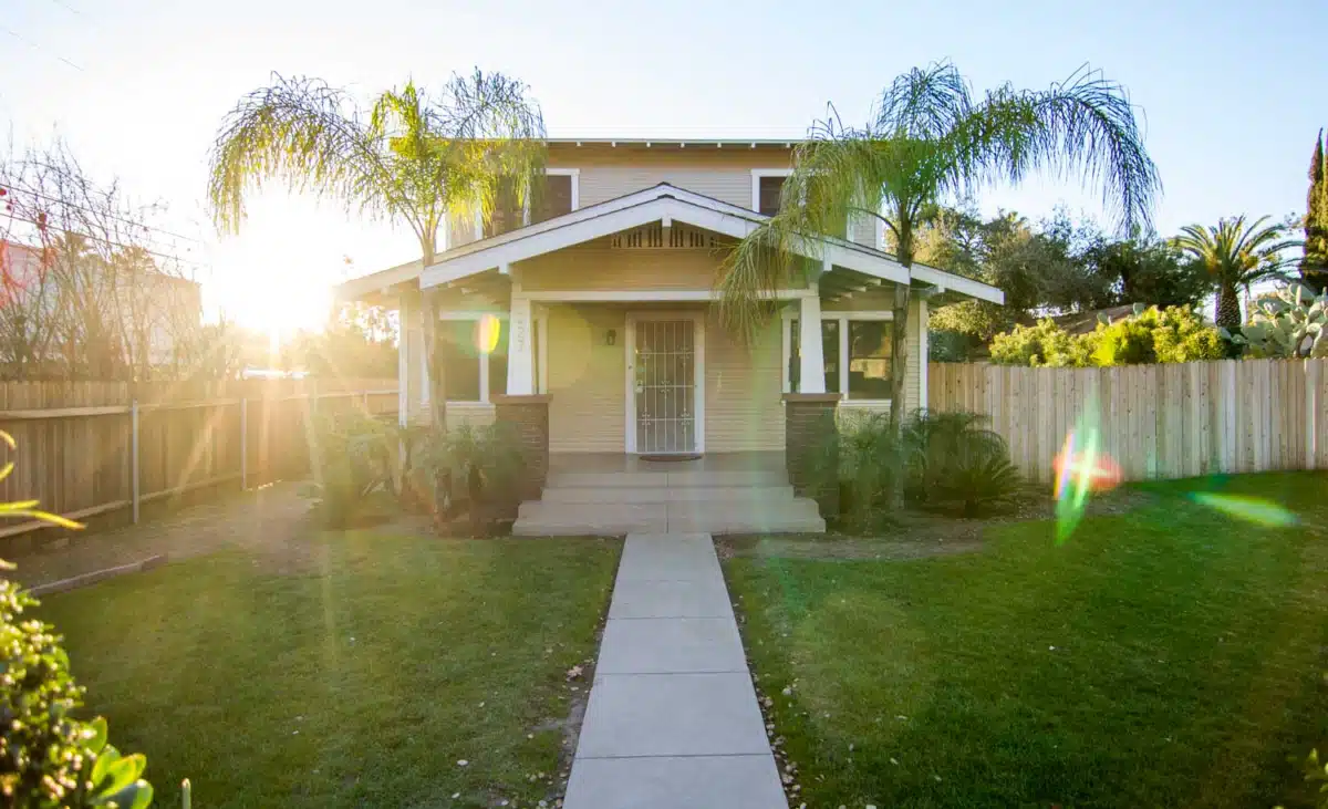 His House Palm Recovery - Preview