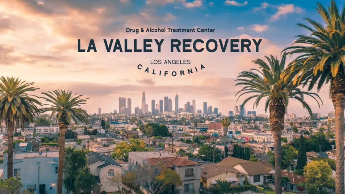 LA Valley Recovery - Hero Image