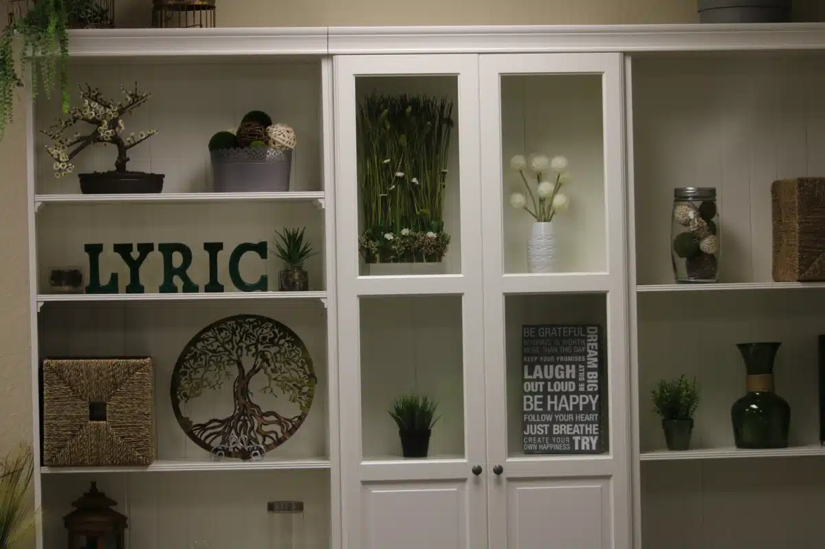 Lyric Recovery Services Inc - Hero Image