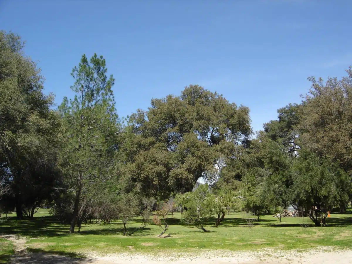 San Diego Freedom Ranch Inc