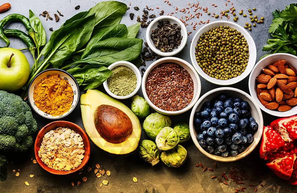 South Lake Tahoe Recovery and Rehab